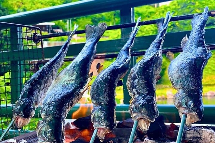 Trout Fishing Tour Near Tokyo with English-Speaking Guide — photo 8