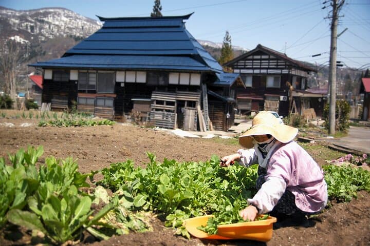 Custom Bike and Walk Countryside Adventure in Rural Japan — photo 6