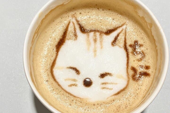 Create Your Own Latte Art at a Japanese Café — photo 3