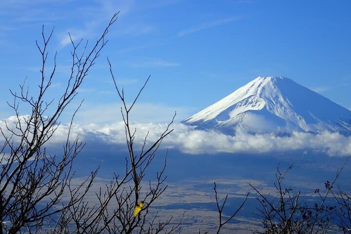 Only 1 Group per Day – Hakone Luxury Private Experience with Car — photo 3