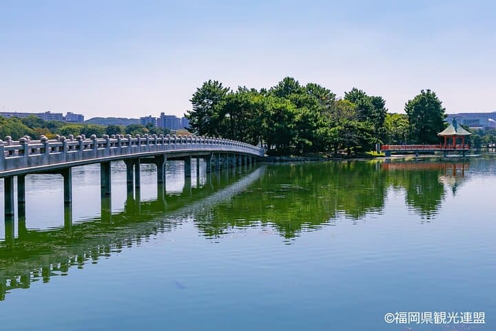 Hakata Cruise Shore Excursion Fukuoka Half Day Tour — photo 11