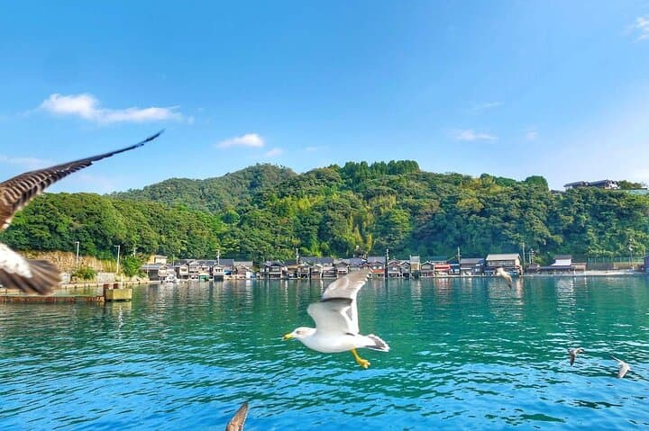 Kyoto Amanohashidate, Ine Funaya, and Ine Bay Day Tour — photo 5