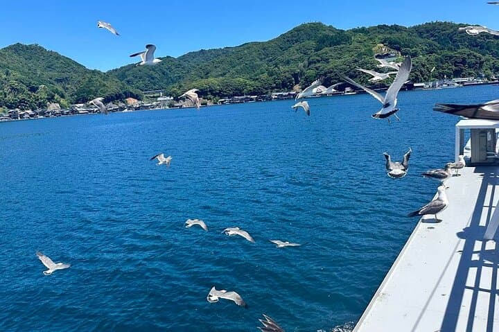 Kyoto Amanohashidate, Ine Funaya, and Ine Bay Day Tour — photo 19