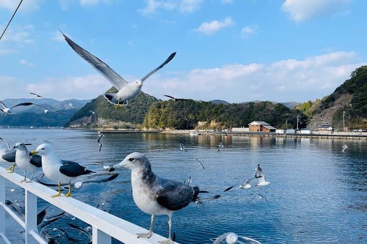 Kyoto Amanohashidate, Ine Funaya, and Ine Bay Day Tour — photo 20