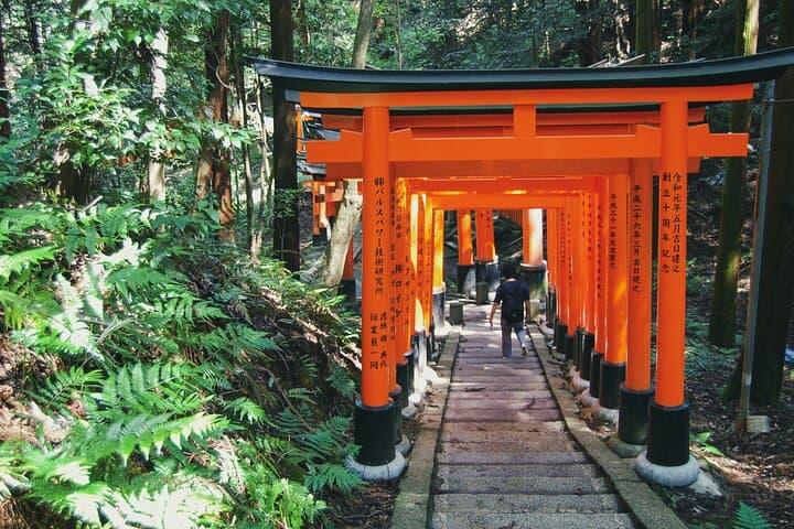 Crowd-Free Kyoto: Fushimi Inari, Nijo Castle & Kinkaku-ji — photo 11