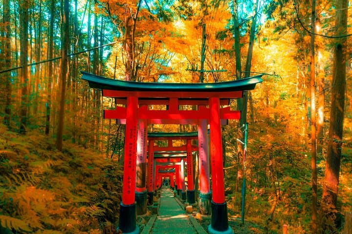 Crowd-Free Kyoto: Fushimi Inari, Nijo Castle & Kinkaku-ji — photo 2