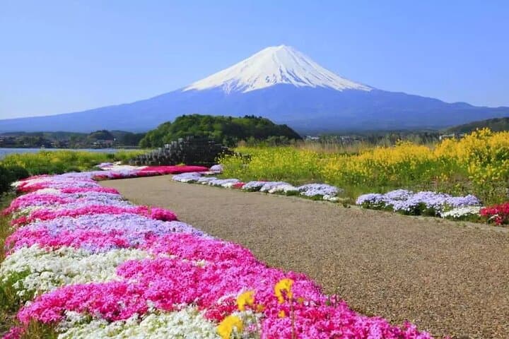 Mt. Fuji Scenic Day Tour Arakurayama Tendi Oshino and Kawaguchiko — photo 16