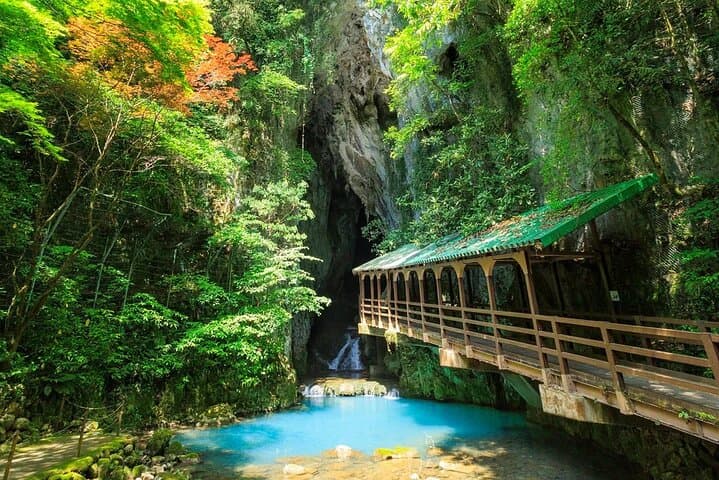 Akiyoshido Limestone Cave Motonosumi Inari Torii Day Tour Fukuoka