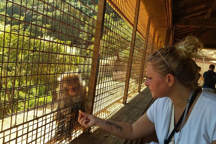 Kyoto: Arashiyama Tenryuji Temple, Bamboo Grove, and Monkeys Tour — photo 4