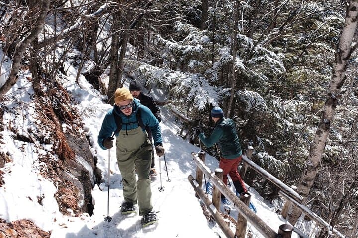 Japan Alps Norikura Frozen Water Fall Snowshoe Trekking Tour — photo 4