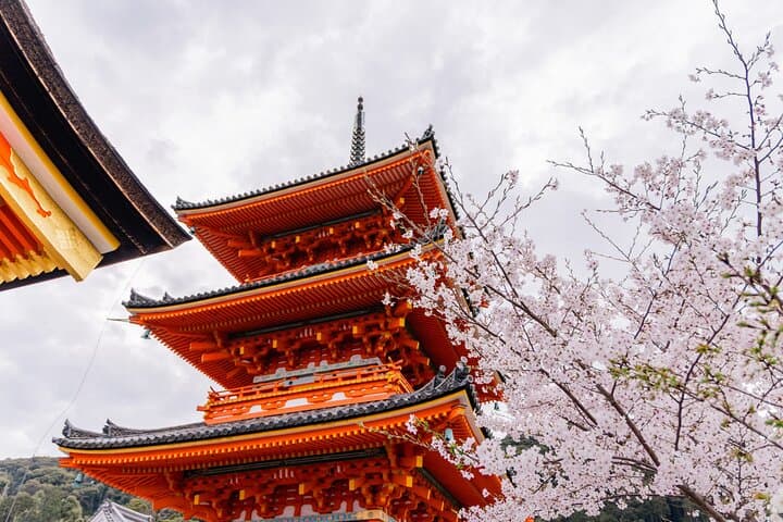 Full Day at the Top UNESCO Sites in Kyoto 360 — photo 1