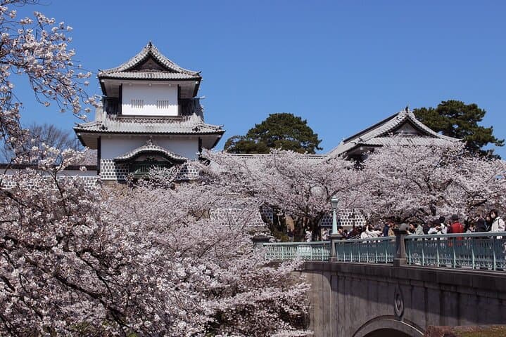 Discover Kanazawa with a Local: Private & Custom Tour — photo 6
