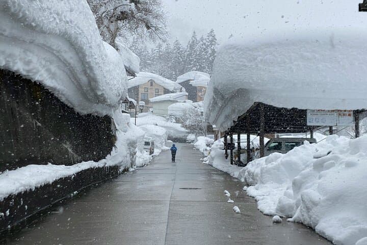 Nagano Highlights Snow Monkeys Nozawa Onsen and Zenkoji Temple — photo 3