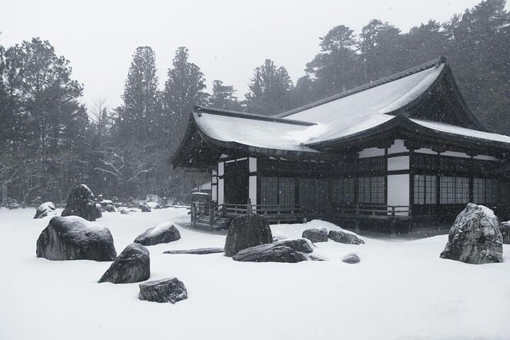 Nagano Highlights Snow Monkeys Nozawa Onsen and Zenkoji Temple — photo 7