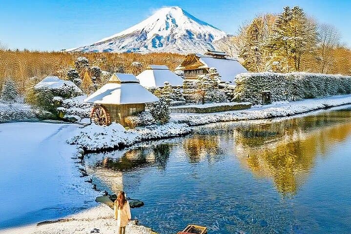 Mt. Fuji Tours with Kawaguchi Lake Ropeway View English Speaking — photo 11