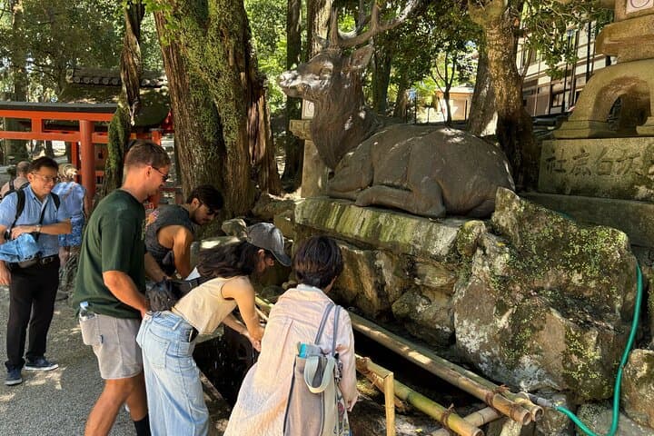 Nara Highlight Walking Tour with Furoshiki Experience with Lunch — photo 4