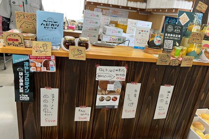 Okayama Kurashiki Harvest: 1 Fruit Pick & 3 Souvenirs(60m) — photo 9