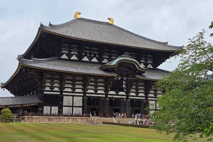 Kyoto to Nara Day Trip 6 Hour Private Tour with Deer and Temples — photo 2