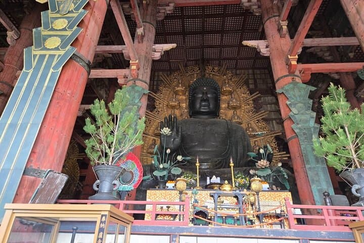 Kyoto to Nara Day Trip 6 Hour Private Tour with Deer and Temples — photo 3