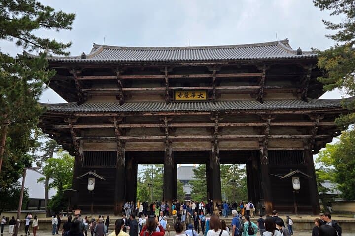 Kyoto to Nara Day Trip 6 Hour Private Tour with Deer and Temples — photo 4