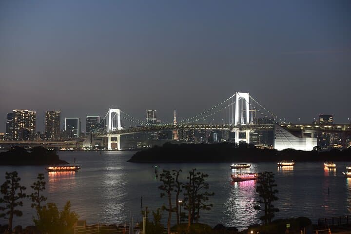 Tokyo Night Highlights Private Tour – Best Night Views by Car — photo 3