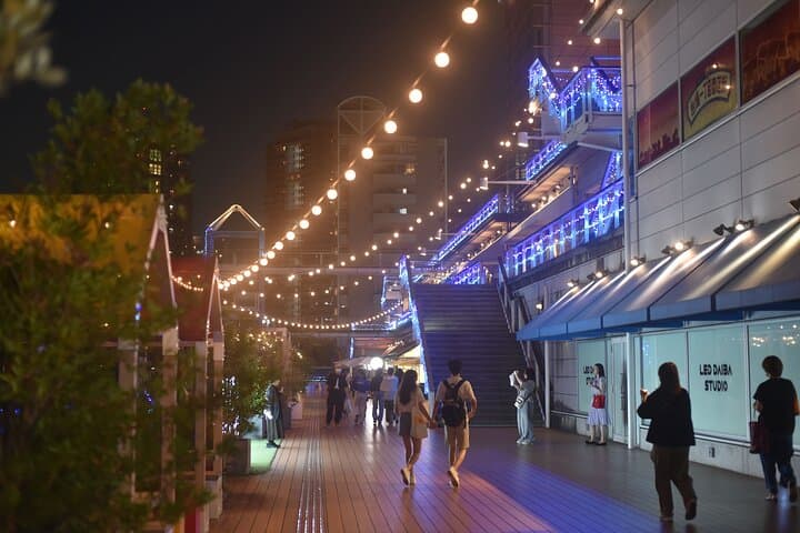 Tokyo Night Highlights Private Tour – Best Night Views by Car — photo 6