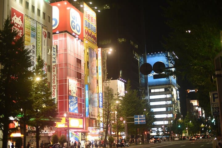 Tokyo Night Highlights Private Tour – Best Night Views by Car — photo 7