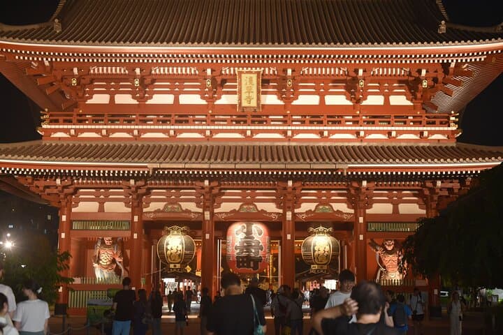 Tokyo Night Highlights Private Tour – Best Night Views by Car — photo 10