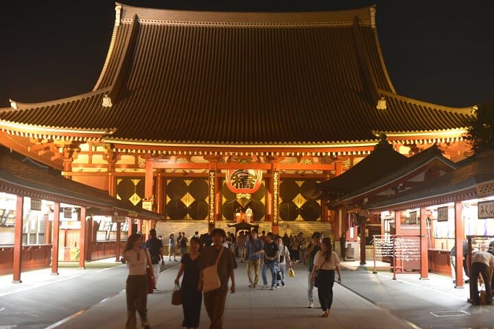 Tokyo Night Highlights Private Tour – Best Night Views by Car — photo 12