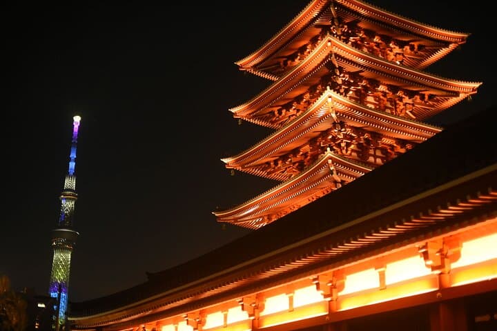 Tokyo Night Highlights Private Tour – Best Night Views by Car — photo 8