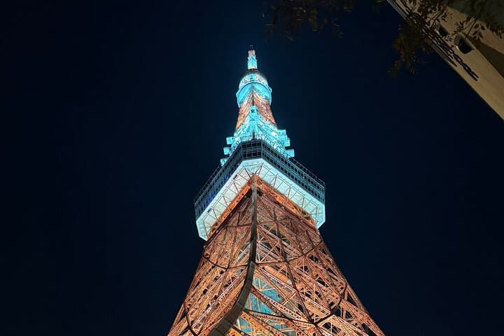 Tokyo Night Highlights Private Tour – Best Night Views by Car — photo 13