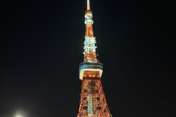 Tokyo Night Highlights Private Tour – Best Night Views by Car — photo 14