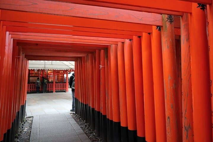 Nara Park, Golden Pavilion Bamboo Forest Day Trip From Osaka — photo 10