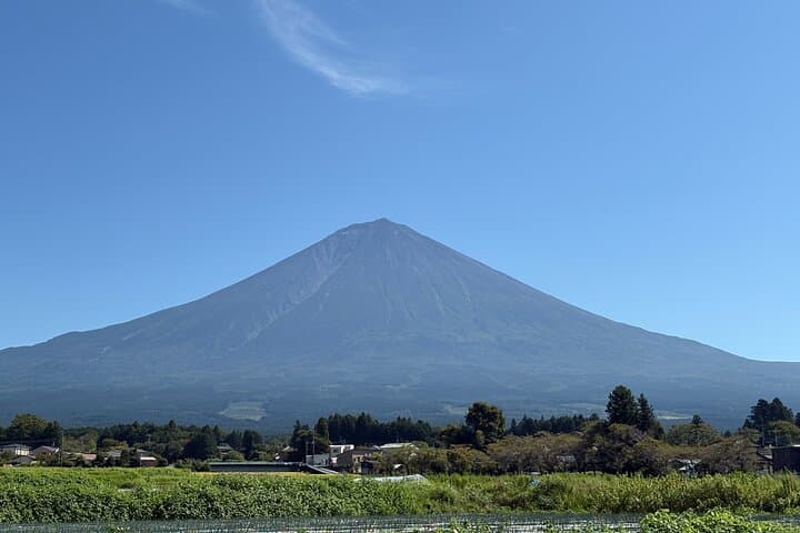 Shimizu Shore Excursion: Private Mt. Fuji Cultural Experience — photo 20