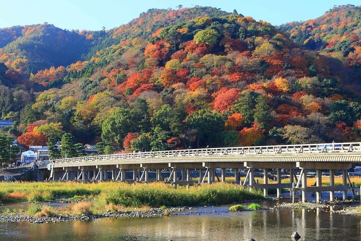 Nara Park, Golden Pavilion Bamboo Forest Day Trip From Osaka — photo 14