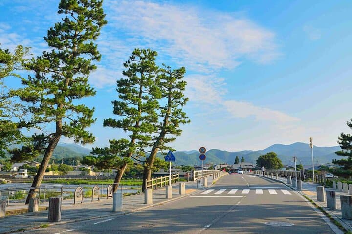 Nara Park, Golden Pavilion Bamboo Forest Day Trip From Osaka — photo 15