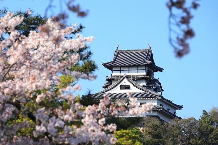 Nagoya Day Trip Magome juku Ena Gorge and Inuyama Castle — photo 4