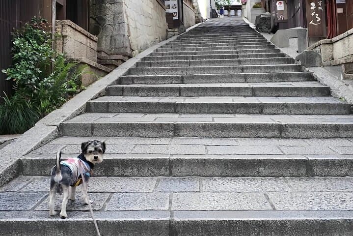 Private Kyoto Early Bird English Tour: Gion(Geisha) & Higashiyama — photo 16