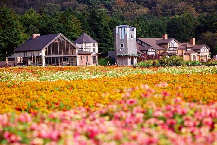 Kawaguchiko & Mt. Fuji Day Tour: Seasonal Flower with Kusa Mochi — photo 5