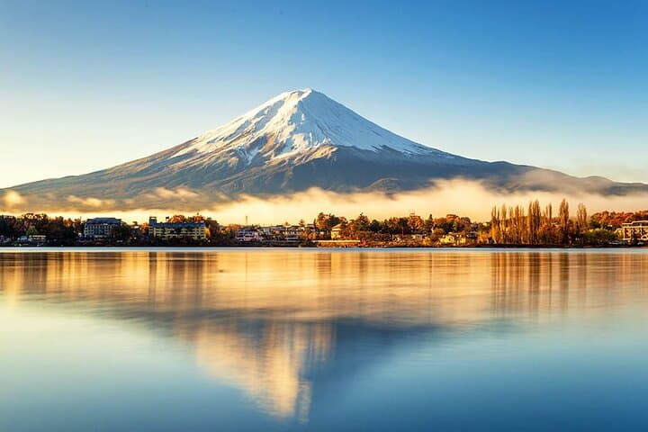 Kawaguchiko & Mt. Fuji Day Tour: Seasonal Flower with Kusa Mochi — photo 18