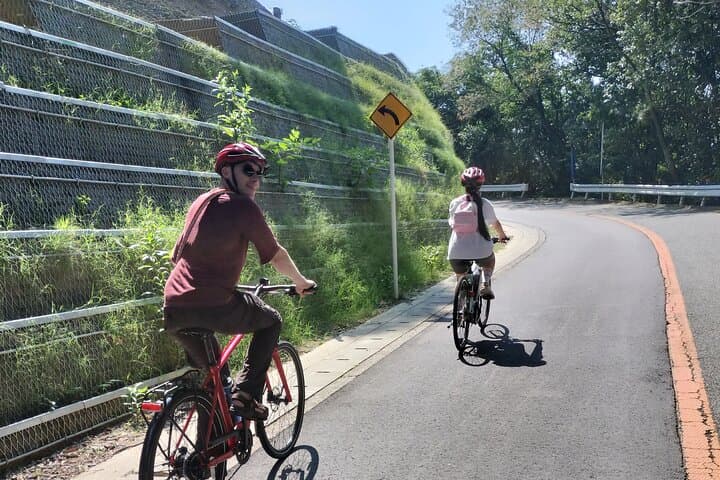 Osaka Half-day E-bike Adventure: Minoh Falls & Katsuoji Temple — photo 5