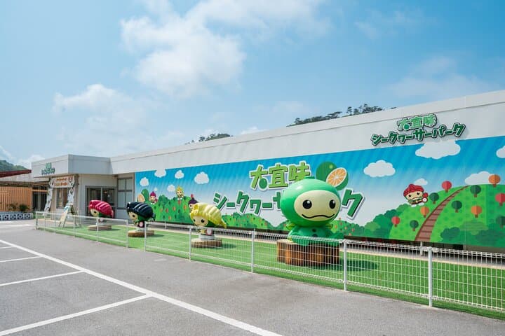 Okinawa Hip-Hop Bus C Course Tour to Northern Island — photo 12
