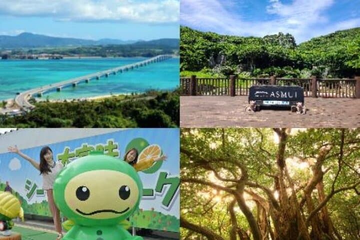 Okinawa Hip-Hop Bus C Course Tour to Northern Island
