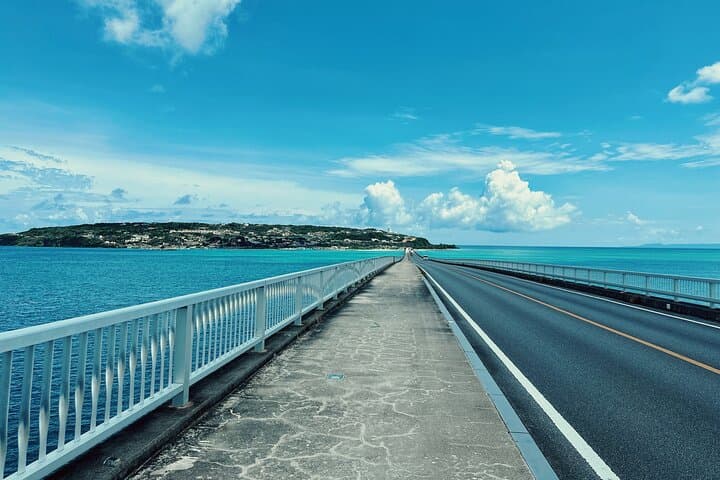 Okinawa Hip-Hop Bus C Course Tour to Northern Island — photo 15