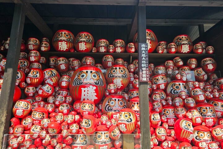 Osaka Half-day E-bike Adventure: Minoh Falls & Katsuoji Temple — photo 19