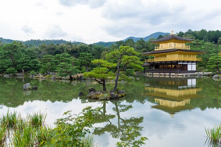 Kyoto Essentials Private Tour: Perfect for First-Time Visitors — photo 16