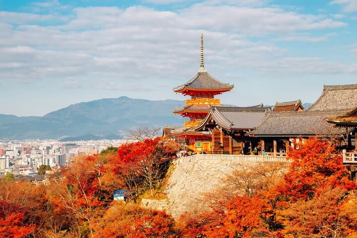 Kyoto Essentials Private Tour: Perfect for First-Time Visitors — photo 7