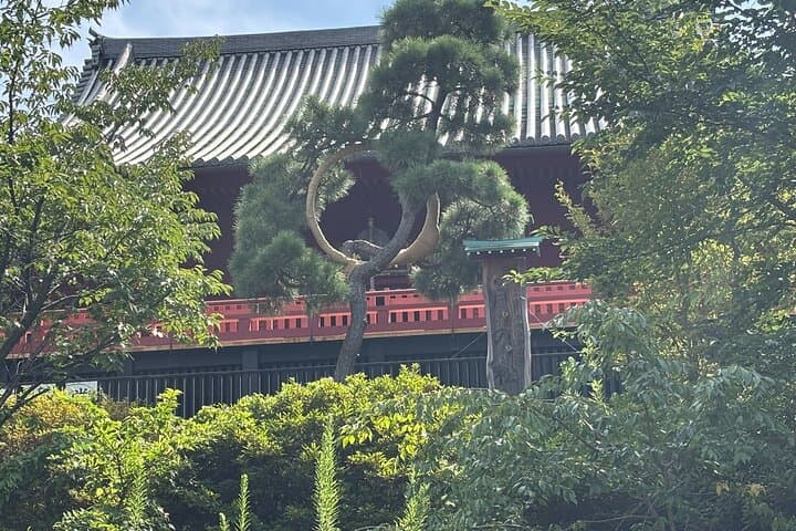 Ueno Area Where Samurai Fell and Japan Rose — photo 11
