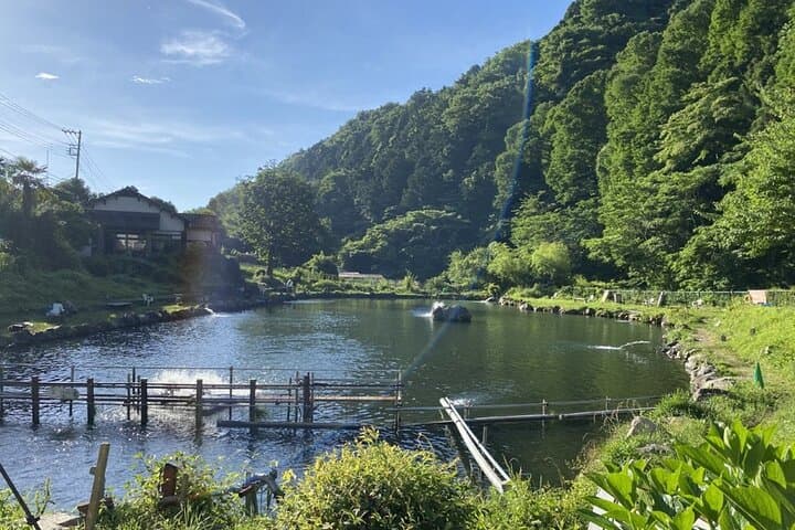 Trout Fishing Tour Near Tokyo with English-Speaking Guide — photo 4