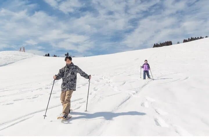 Shiga Hakodateyama Ski Resort Tour from Kyoto or Osaka — photo 1